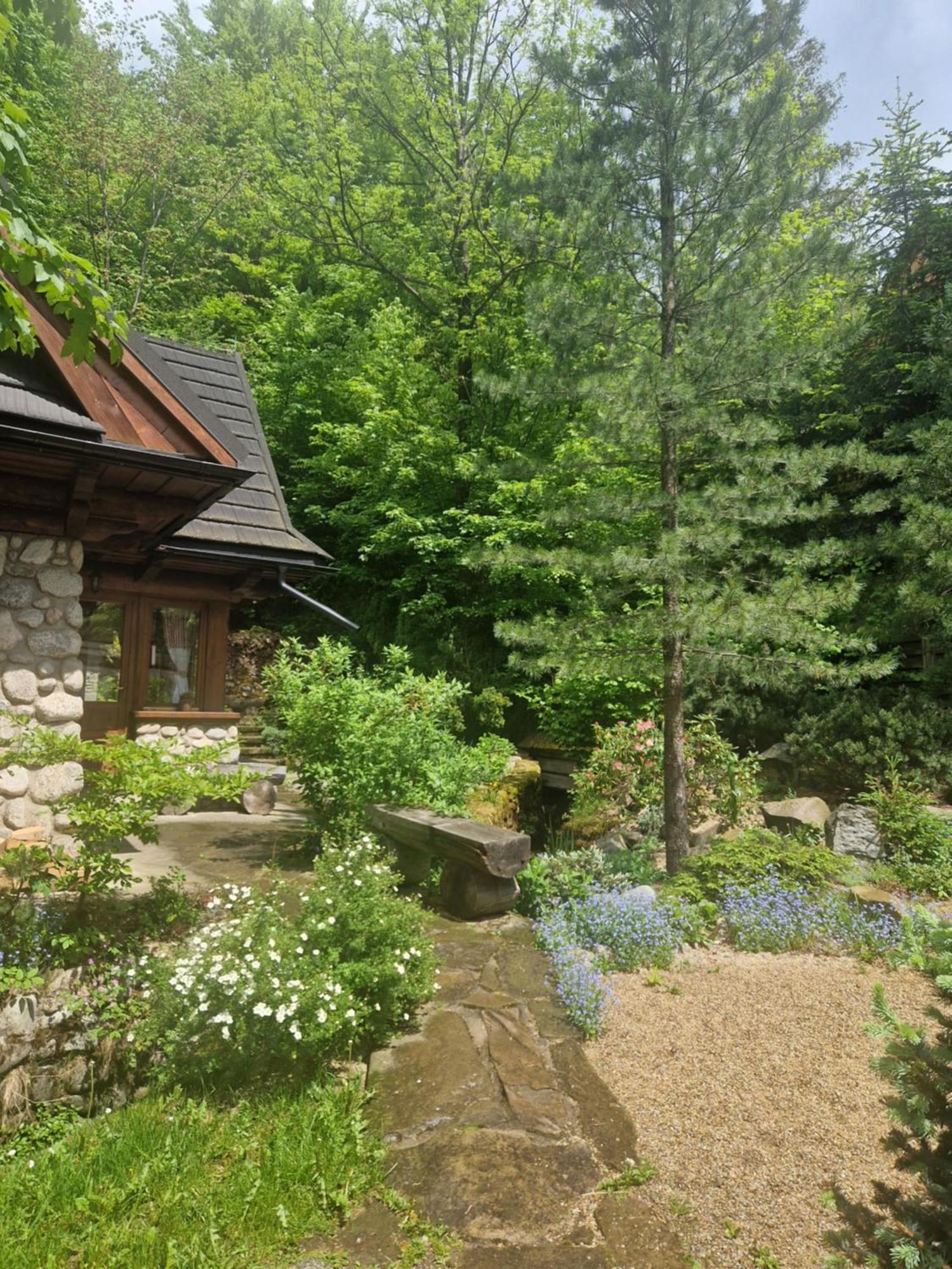 Apartament Jaworzyna 자코파네 외부 사진